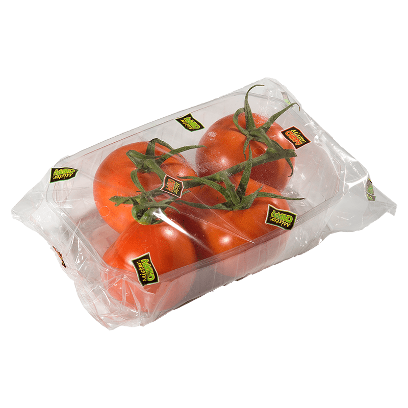 026 tomate rama